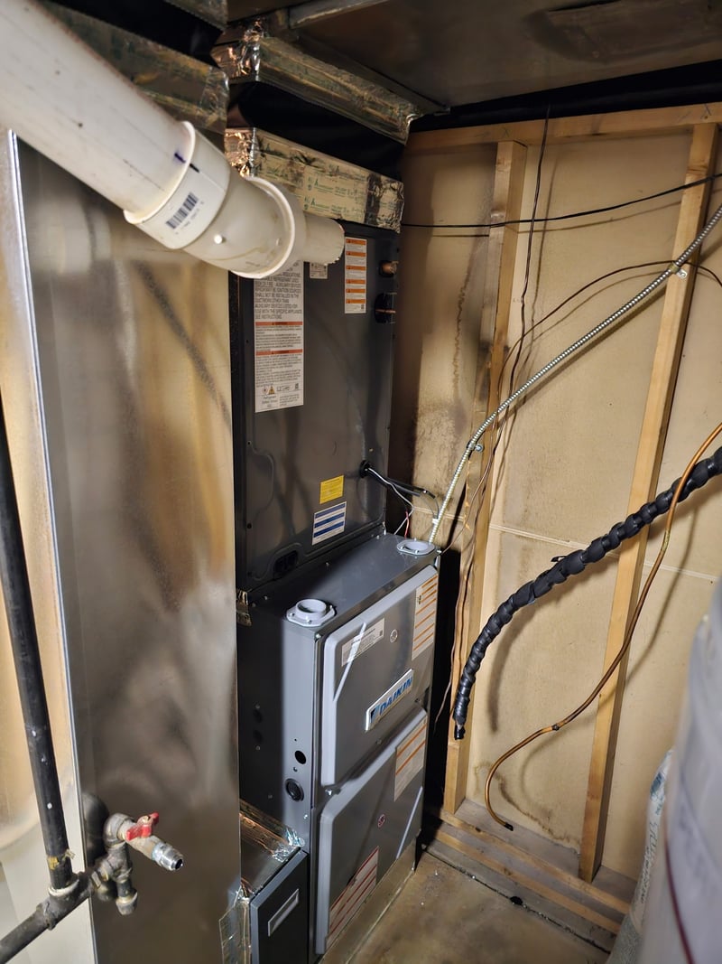 Daikin furnace cabinet with tidy sheet-metal joints and accessible service cleanouts.